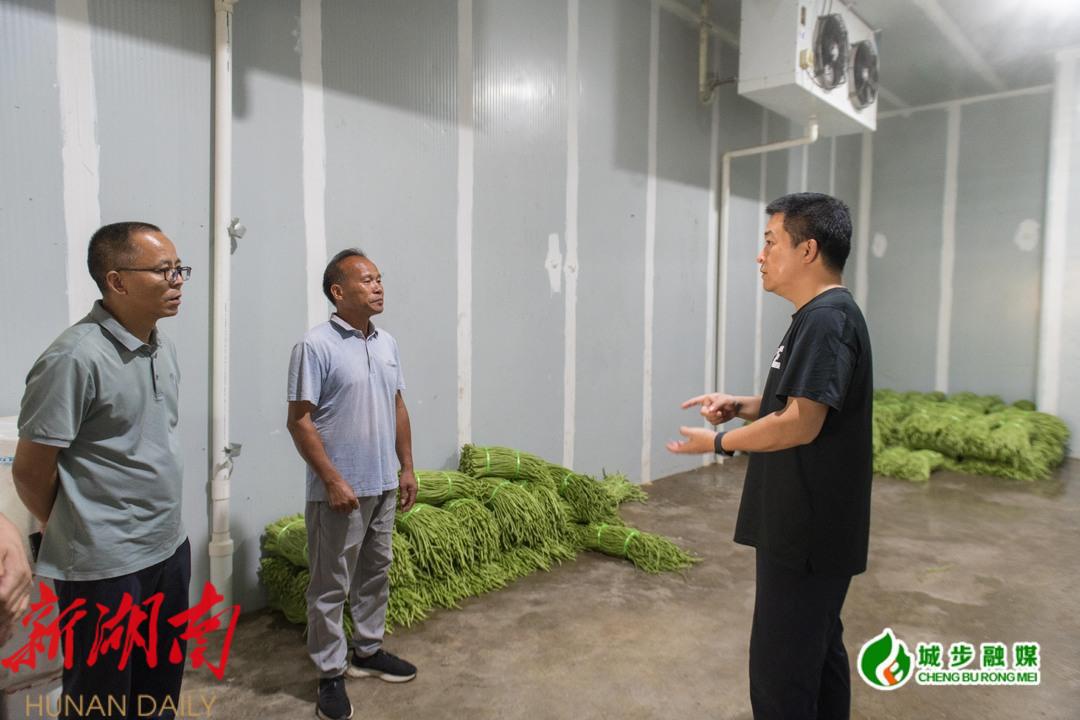 开福区到城步调研乡村振兴工作_邵阳头条网
